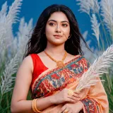 Arun Pallab Art Silk Saree