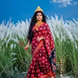 Puja Theme Saree - Image 4